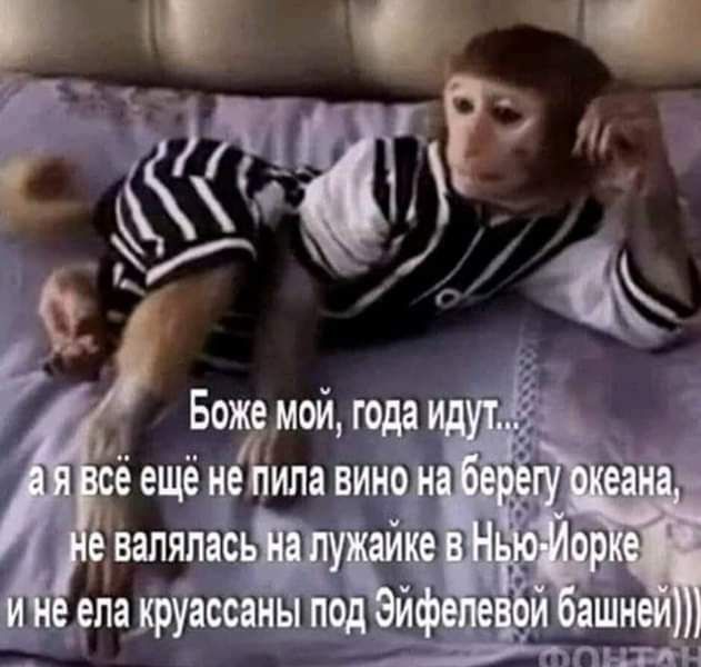 50 мой з
