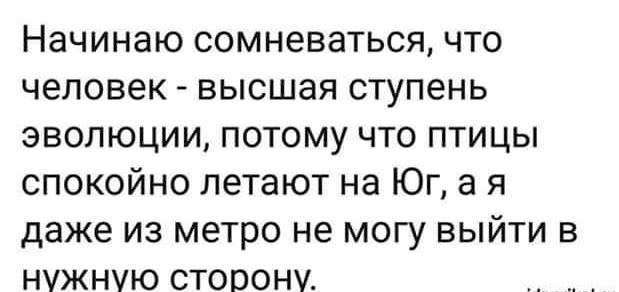 Начинаю сомневаться что человек высшая ступень эволюции потому что птицы спокойно летают на Юг а я даже из метро не могу выйти в нужную сторону
