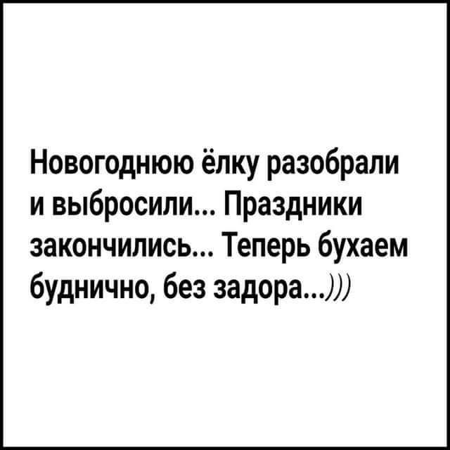 Новогоднюю ёлку разобрали и выбросили Праздники закончились Теперь бухаем буднично без задора