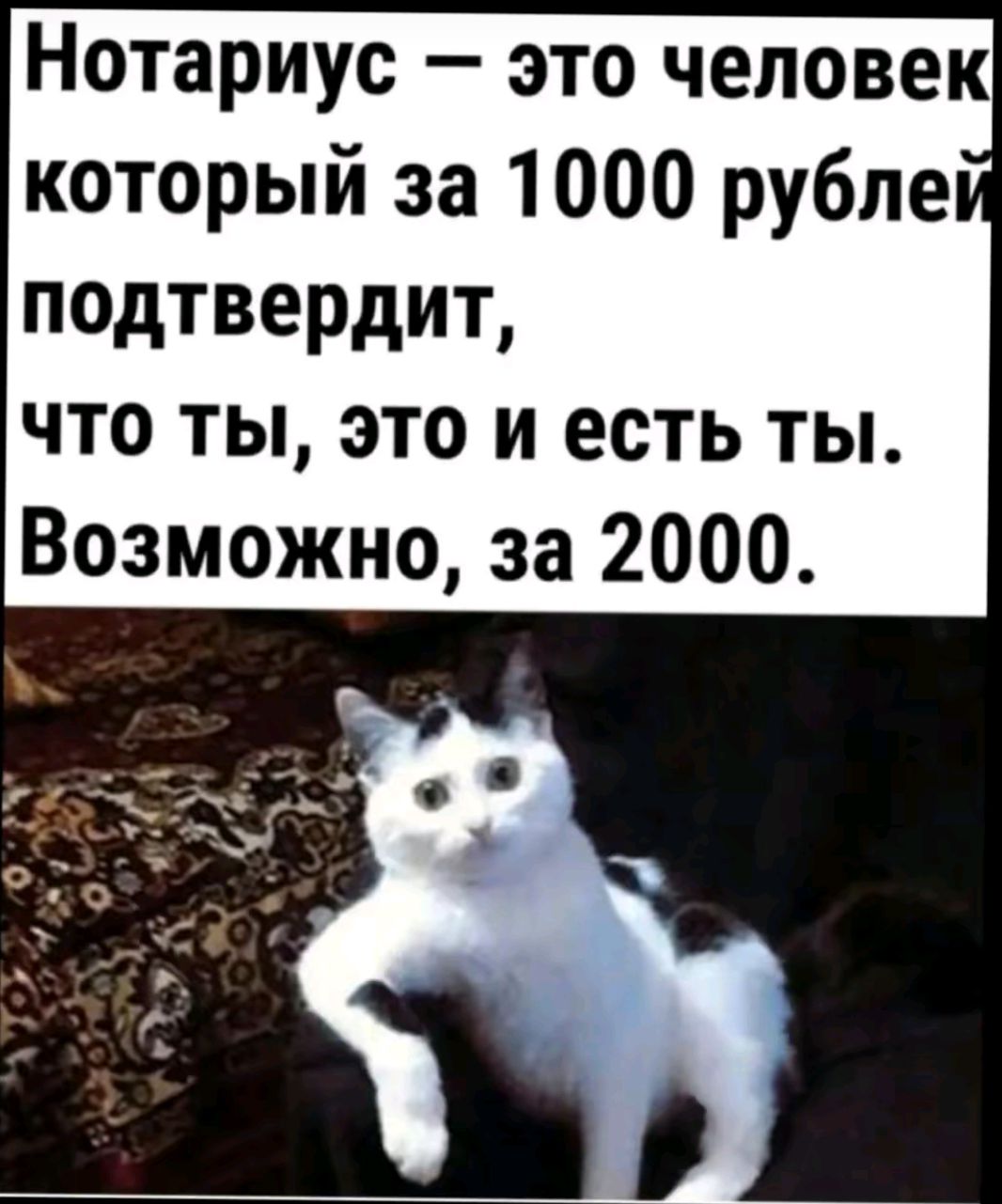 Нотариус это человек который за 1000 рубле подтвердит что ты это и есть ты Возможно за 2000