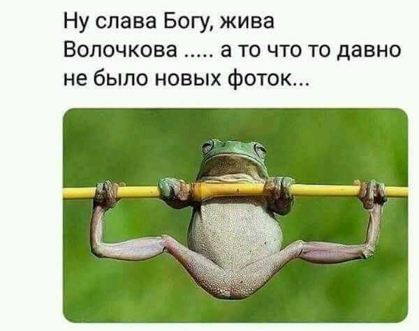 Ну слава Богу жива Волочкова а то что то давно не было новых фоток