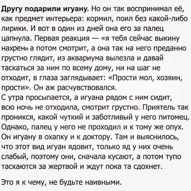 другу подарили игуаиу Но он так воспринимал её как предмет интерьера кормил поил без какойлибо лирики И вот в один из дней она его за палец Цапнула Первая реакция я тебя сейчас выкииу нахреша потом смотрит а она так на него преданно грустно глядит из аквариума вылезла и давай таскаться за ним по всему дому ни на шаг не отходит в глаза заглядывает Прости мол хозяин прости Он аж расчувствовался С ут