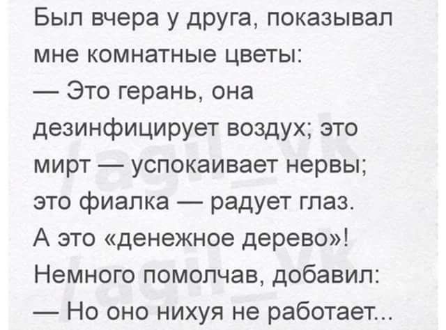 Был вчера у друга показывал мне комнатные цветы Это герань она дезинфицирует воздух зто мирт успокаивает нервы это фиалка радует глаз А это денежное дерево Немного помолчав добавил Но оно нихуя не работает