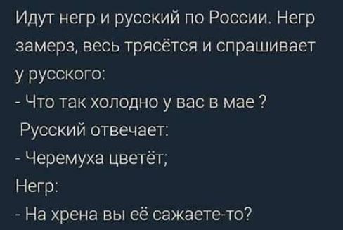 Идут негр и русский по России Негр замерз весь трясется и спрашивает у русского Что так холодно у вас в мае Русский отвечает Черемуха цветёт Негр На хрена вы её сажаетето