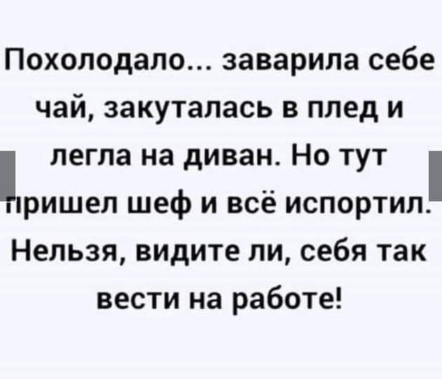 Похолодало заварипа себе чай закутапась в плед и легла на диван Но тут пришел шеф и всё испортил Нельзя видите ли себя так вести на работе