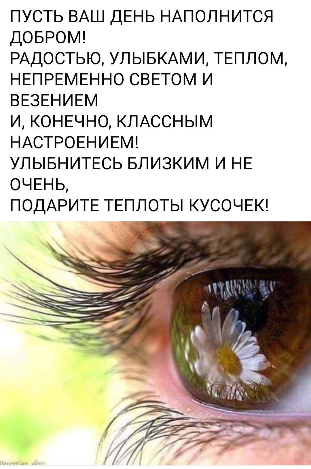 ПУСТЬ ВАШ ДЕНЬ НАПОЛНИТСЯ ДОБРОМ РАДОСТЬЮ УЛЫБКАМИ ТЕПЛОМ НЕПРЕМЕННО СВЕТОМ И ВЕЗЕНИЕМ И КОНЕЧНО КЛАССНЫМ НАСТРОЕНИЕМ УЛЫБНИТЕСЬ БПИЗКИМ И НЕ ОЧЕНЬ ПОДАРИТЕ ТЕПЛОТЫ КУСОЧЕК