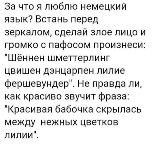 За что я люблю немецкий язык Встань перед зеркалом сделай злое лицо и громко с пафосом произнеси Шённен шметтерпинг цвишен дэнцарпен лилие фершевундер Не правда ли как красиво звучит фраза Красивая бабочка скрылась между нежных цветков лилииЁ