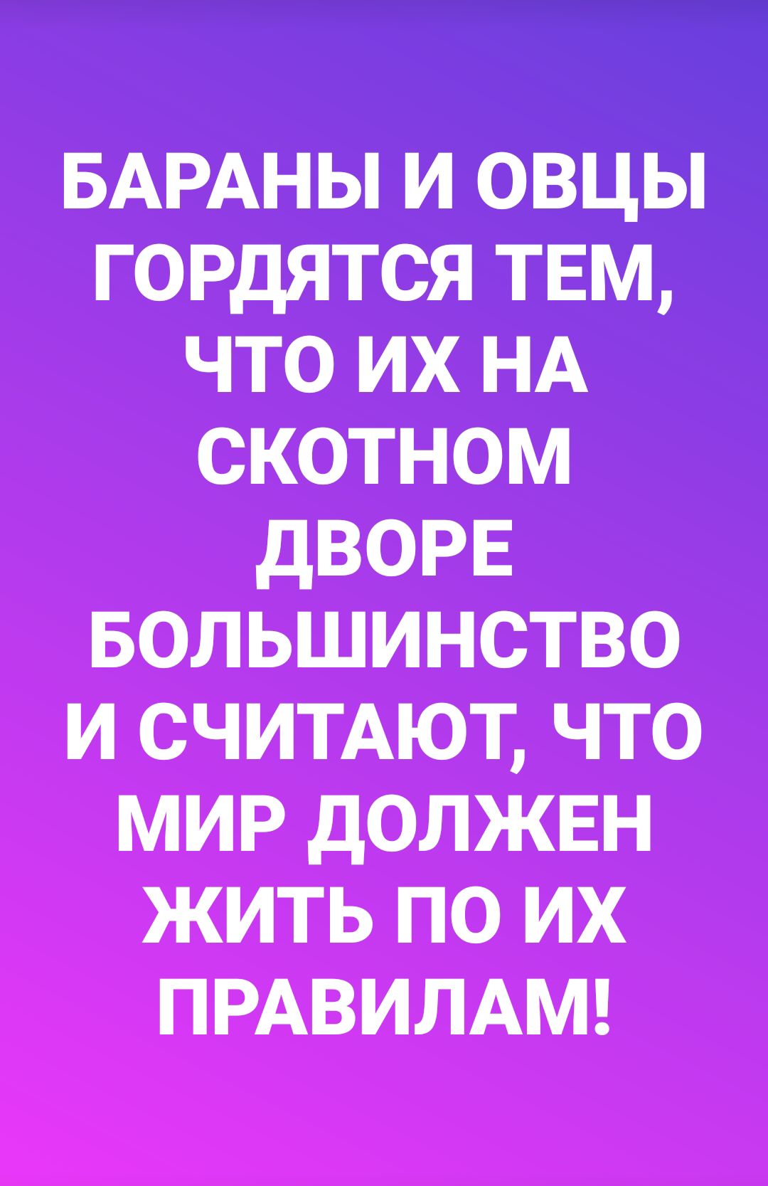 БАРАНЫ и овцы гордятся твм что их НА скотном дворе Большинство и считдют что мир должвн жить по их ПРАВИЛАМ