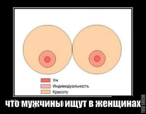Ииіпнппюпмоч шгогу ППМШНЧИНЬШ ИЩУТ В ЖЕНЩИНЫ