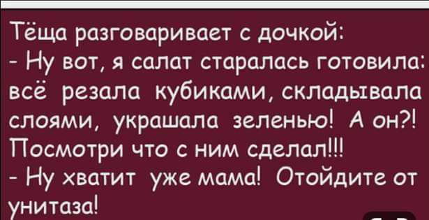 Тёща разговаривает с дочкой Ну вот я салат старалась готовила всё резала кубиками складывала слоями украшала зеленью А он Посмотри что с ним сделол Ну хватит уже мама Отойдите от унитаза