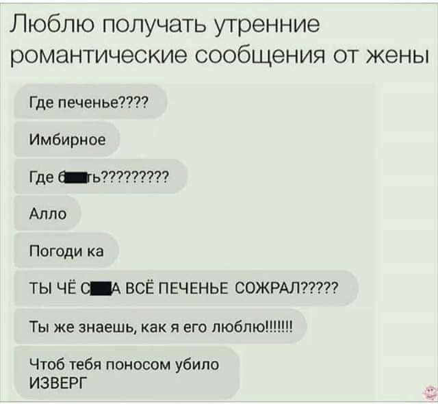 Люблю получать утренние романтические сообщения ОТ жены Где печенье Имбирное Где _ь Алло Погоди а ТЫ ЧЁ ВСЁ ПЕЧЕНЬЕ СОЖРАЛ Ты же знаешь как я его люблюі Чтпб тебя поносом убит изверг