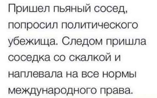 Пришел пьяный сосед попросил политического убежища Следом пришла соседка со скалкой и наплевала на все нормы международного права