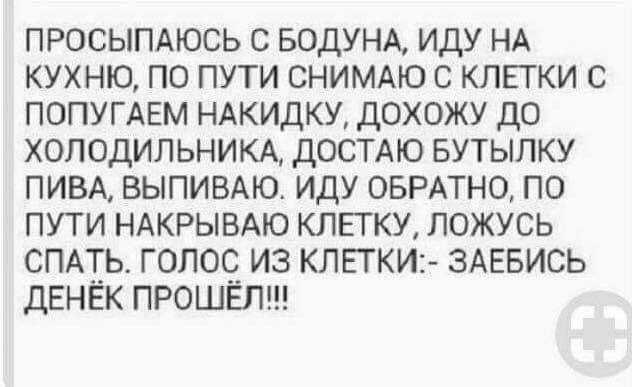 ПРОСЫПАЮСЬ С БОДУНА ИДУ НА КУХНЮ ПО ПУТИ СНИМАЮ С КЛЕТКИ С ПОПУГАЕМ НАКИДКУ дОХОЖУ ДО ХОЛОДИЛЬНИКА дОСТАЮ БУТЫПКУ ПИВА ВЫПИВАЮ ИДУ ОБРАТНО ПО ПУТИ НАКРЫВАЮ КЛЕГКУ ЛОЖУСЬ СПАТЬ ГОПОЧ ИЗ КЛЕТКИ2 ЗАЕБИСЬ дЕНЕК ПРОШЕЛ