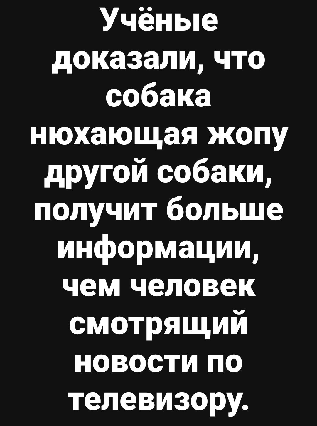 Учёные доказали что собака нюхающая жопу другой собаки получит больше информации чем человек смотрящий новости по телевизору