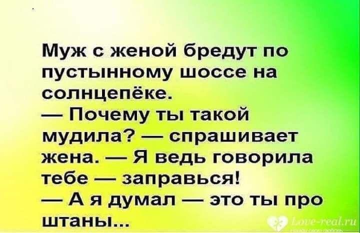 Муж с женой бредут по пустынному шоссе на солнцепёке Почему ты такой мудипа спрашивает жена Я ведь говорила тебе заправься А я думал это ты про штань