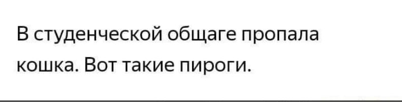 В студенческой общаге пропала кошка Вот такие пироги