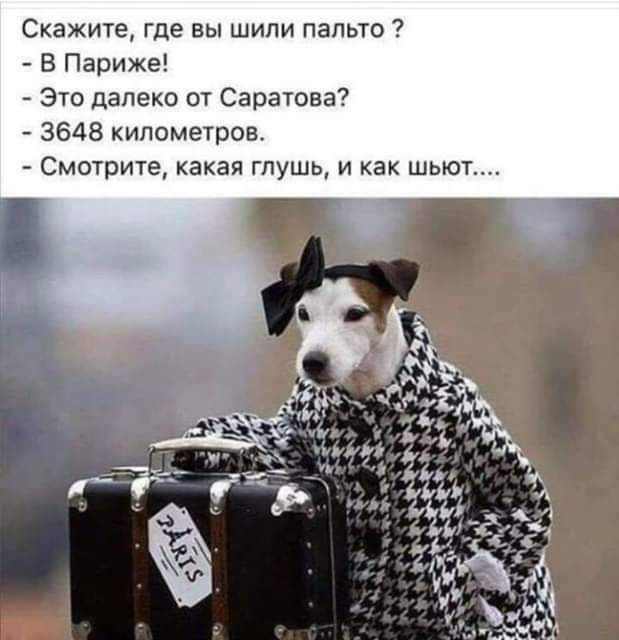 Скажите где вы шипи папьтв В Париже Это далеко от Саратова 3648 километров Смотрите какая гпушь и как шмот