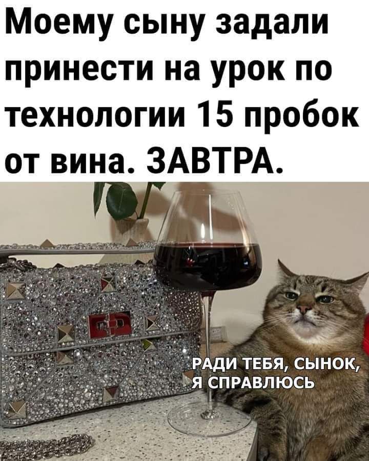 Моему сыну задали принести на урок по технологии 15 пробок от вина ЗАВТРА ДИ ТЕБЯ СЫ НОК СПРАВПЮСЬ