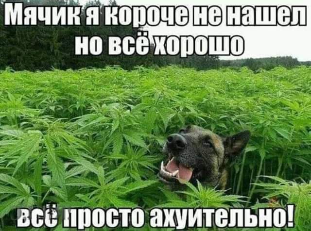 мйчиийопоче но всё копошо чЁ _ _ к Ё _ _ _ х ц всё посто анитепьип