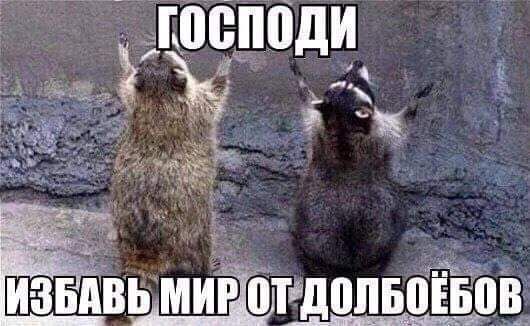 Т феерии тщопвошов