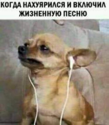 ХОГМ НАХУЯРИАСЯ И ВКАЮЧИА ЖИЗНЕННУЮ ПЕСНЮ