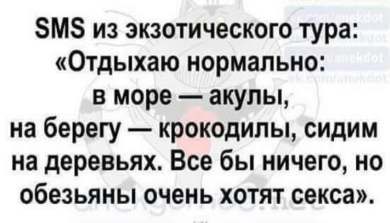 ЗМЗ из экзотического тура Отдыхаю нормально в море акулы на берегу крокодилы сидим на деревьях Все бы ничего но обезьяны очень хотят секса