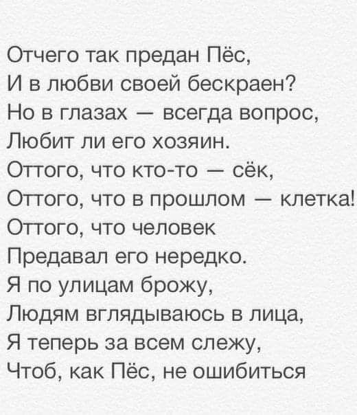 Отчего так предан Пёс И в любви своей бескраен Но в глазах всегда вопрос Любит ли его хозяин Оттого что ктото сёк Оттого что в прошлом клетка Отгого что человек Предавал его нередко Я по улицам брожу Людям вглядываюсь в лица Я теперь за всем слежу Чтоб как Пёс не ошибиться