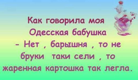 г Как говорит моя Одесская бабушка с Нет барышня то не брут таки сели то жаренная картошкп так легла