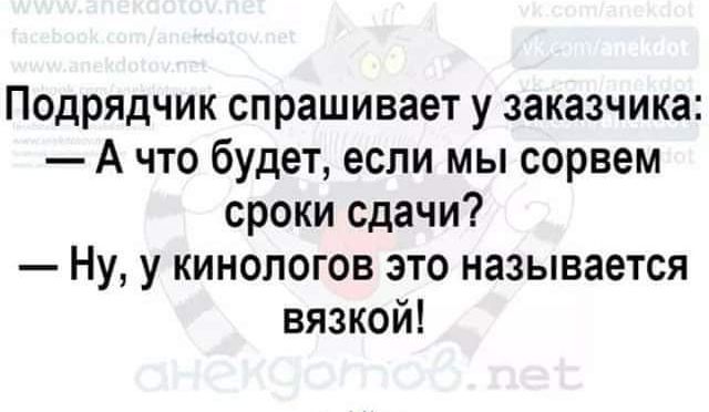 Подрядчик спрашивает у заказчика А что будет если мы сорвем сроки сдачи Ну у кинологов это называется вязкой