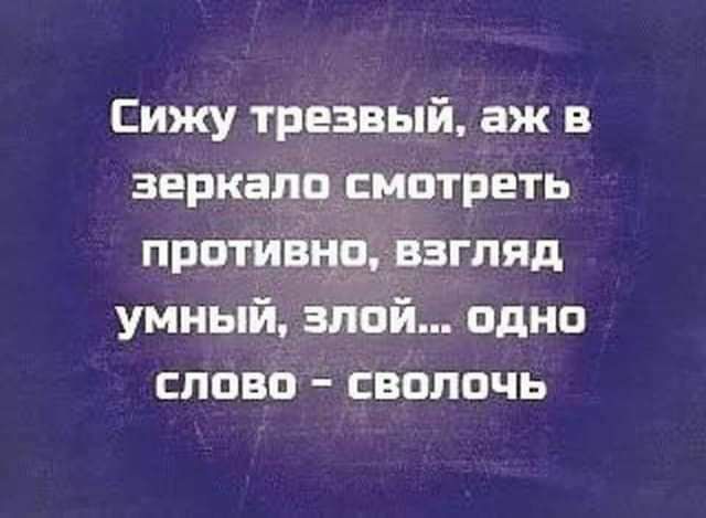 Сижу трезвый аж в ЗЕРКВПР СМОТРЕТЬ протизцр рзгляд умныи злой одно слово сволочь