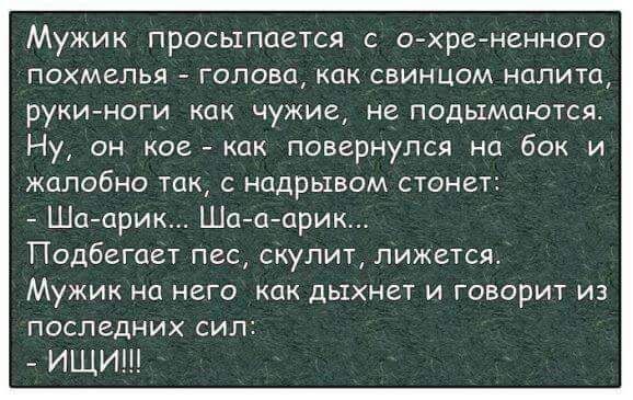 Мужик просыпается с ойхрейненного ПОХМЕПЬЯ ГОПОБО КПК СВИНЦОМ НППИТЦ рукичноги как чужие не подымцются Ну он кое как повернулся на бок и жалобно так с нцдрывом стонет Шаари Шагаьарик Подбггпет пес скупит лижется Мужик на него как дыхнеу и говорит из ПОСЛЕДНИХ СИП _ ищи