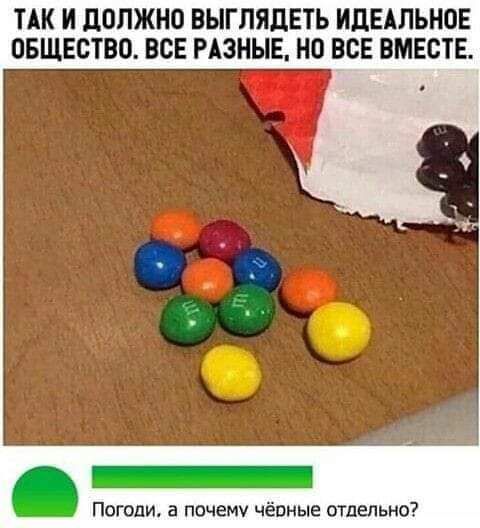 ТАК И ЦОПЖНО ВЫГПЯдЕТЬ ИДЕАЛЬНОЕ ОБЩЕСТВО ВСЕ РАЗНЫЕ НО ВСЕ ВМЕСТЕ Погоди а почему черные отдельно