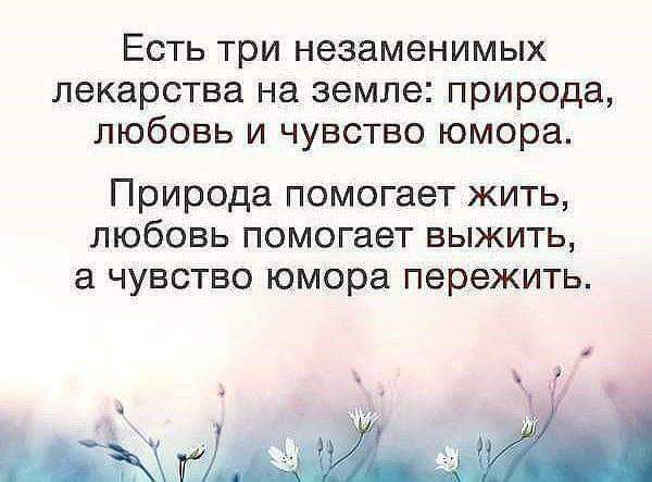 Есть три незаменимых лекарства на земле природа любовь и чувство юмора Природа помогает жить любовь помогает выжить а чувство юмора пережить