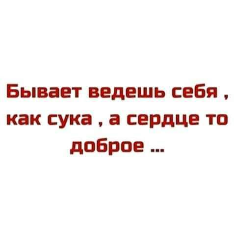 Бывает ведешь себя как сука а сердце то доброе