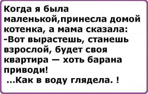 Когда я была маленькойпринесла домой котенка а мама сказала Вот вырастешь станешь взрослой будет своя квартира хоть барана приводи Как в воду глядела