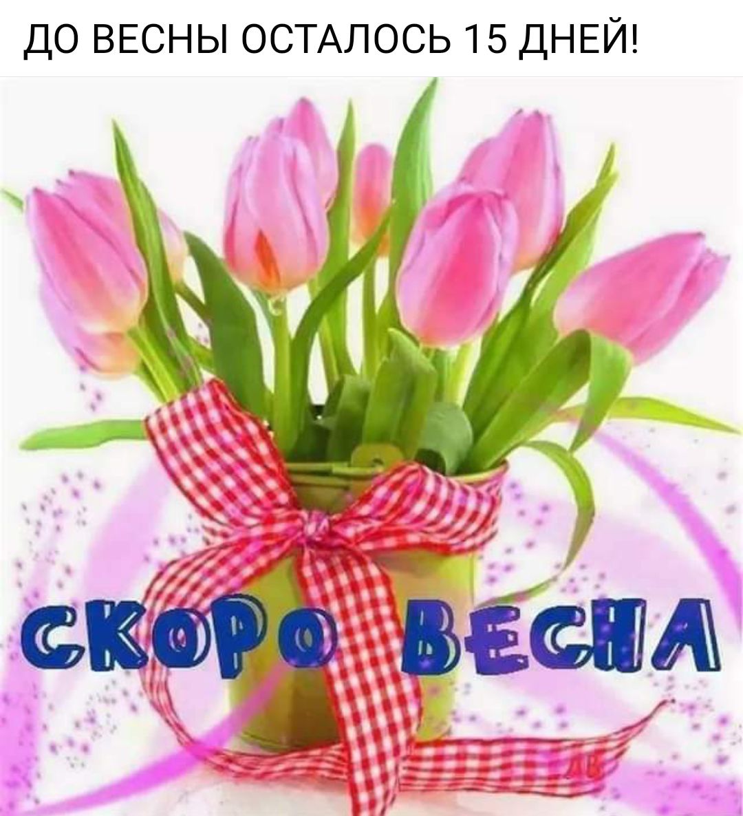 ДО ВЕСНЫ ОСТАЛОСЬ 15 ДНЕЙ