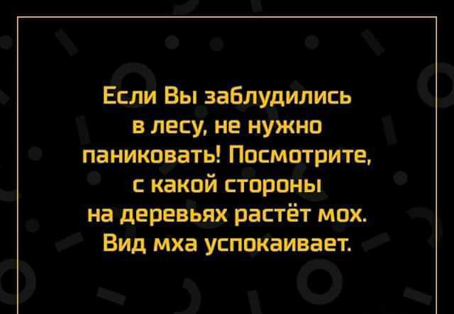 Если Вы заблудились в лесу на иужнп паниковать Посмшрип какой стороны на деревьях растёт мох Вид мха успокаивает