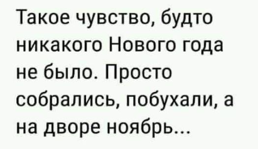 Такое чувство будто никакого Нового года не было Просто собрались побухали а на дворе ноябрь