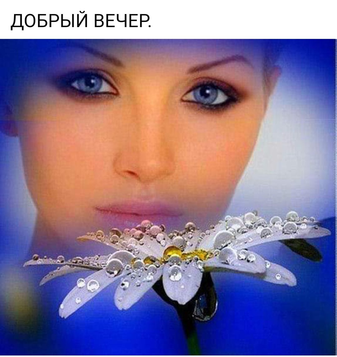 доврыи ВЕЧЕР