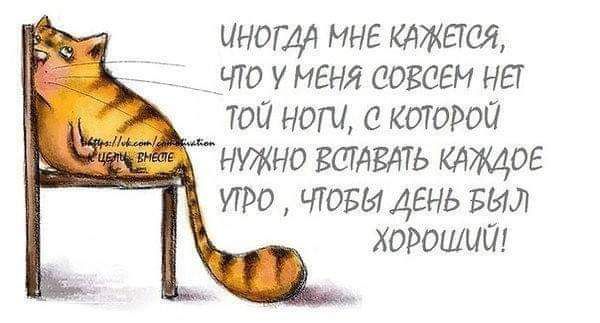 инэтч МНЕ мжетея до у МЕНЯ совсем НЕУ той нот которой нужно ЁШАЕАТЬ КАЖДОЕ утро вдовы день Был хороший
