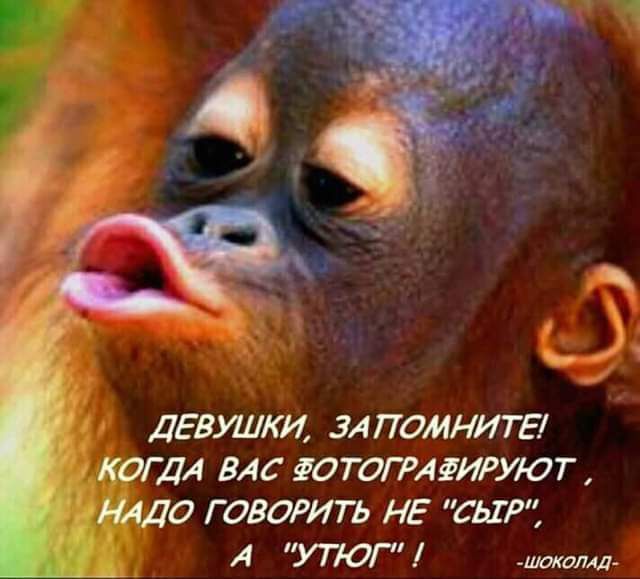ДЕВУШКИ ЗАПОМНИТЕ КОГДА ВАС ЮТОПАЁИРИОГ НАДО ГОВОРИТЬ НЕ СЫР А УТЮГ шамд
