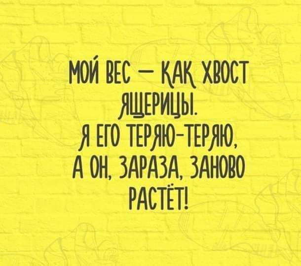 мои пгс кдк хвост яшгрицы я но приш А он здрдзв зднопо РАСТЕТ