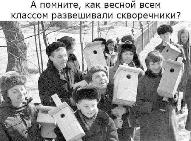 А помните как весной всем классом развешивапи скворечники