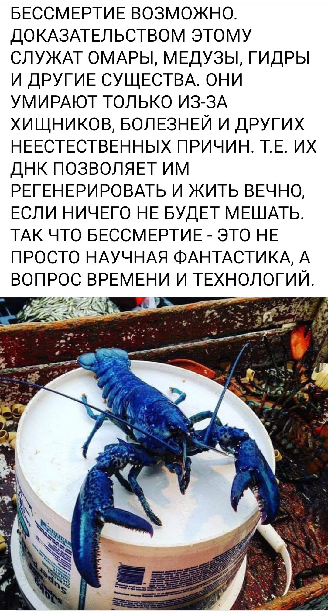 БЕССМЕРТИЕ ВОЗМОЖНО ДОКАЗАТЕЛЬСТВОМ ЭТОМУ СПУЖАТ ОМАРЫ МЕДУЗЫ ГИДРЫ И ДРУГИЕ СУЩЕСТВА ОНИ УМИРАЮТ ТОЛЬКО ИЗ ЗА ХИЩНИКОВ БОЛЕЗНЕЙ И ДРУГИХ НЕЕСТЕСТВЕННЫХ ПРИЧИН ТЕ ИХ ДНК ПОЗВОЛЯЕТ ИМ РЕГЕНЕРИРОВАТЬ И ЖИТЬ ВЕЧНО ЕСЛИ НИЧЕГО НЕ БУДЕТ МЕШАТЬ ТАК ЧТО БЕССМЕРТИЕ ЭТО НЕ ПРОСТО НАУЧНАЯ ФАНТАСТИКА А ВОПРОС ВРЕМЕНИ И ТЕХНОЛОГИЙ