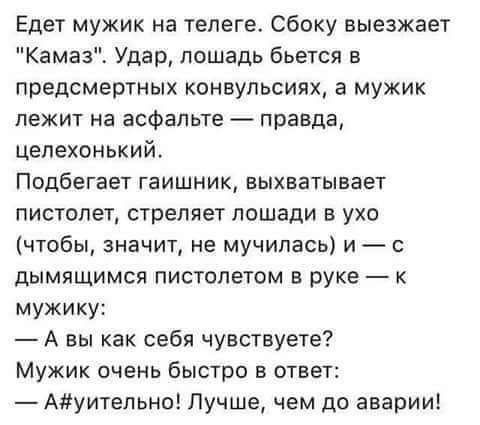 Едет мужик на телеге Сбоку выезжает Камаз Удар лошадь бьется в предсмертных конвульсиях а мужик лежит на асфальте правда Цепехонький Подбвгает гаишник выхватывает пистолет стреляет лошади в ухо чтобы значит не мучилась и дымящимся пистолетом в руке к мужику А вы как себя чувствуете Мужик очень быстро в ответ Ауитепьно Лучше чем до аварии