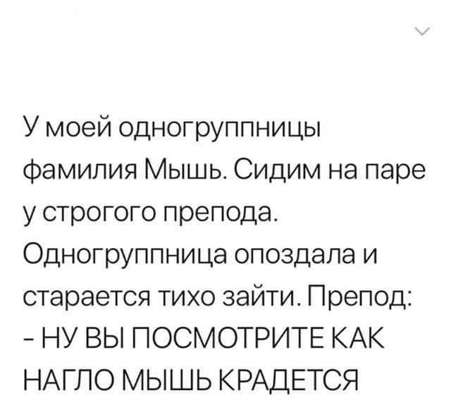 У моей одногруппницы Фамилия Мышь Сидим на паре у строгого препода Одногруппница опоздала и старается тихо зайти Препод НУ ВЫ ПОСМОТРИТЕ КАК НАГЛО МЫШЬ КРАДЕТСЯ