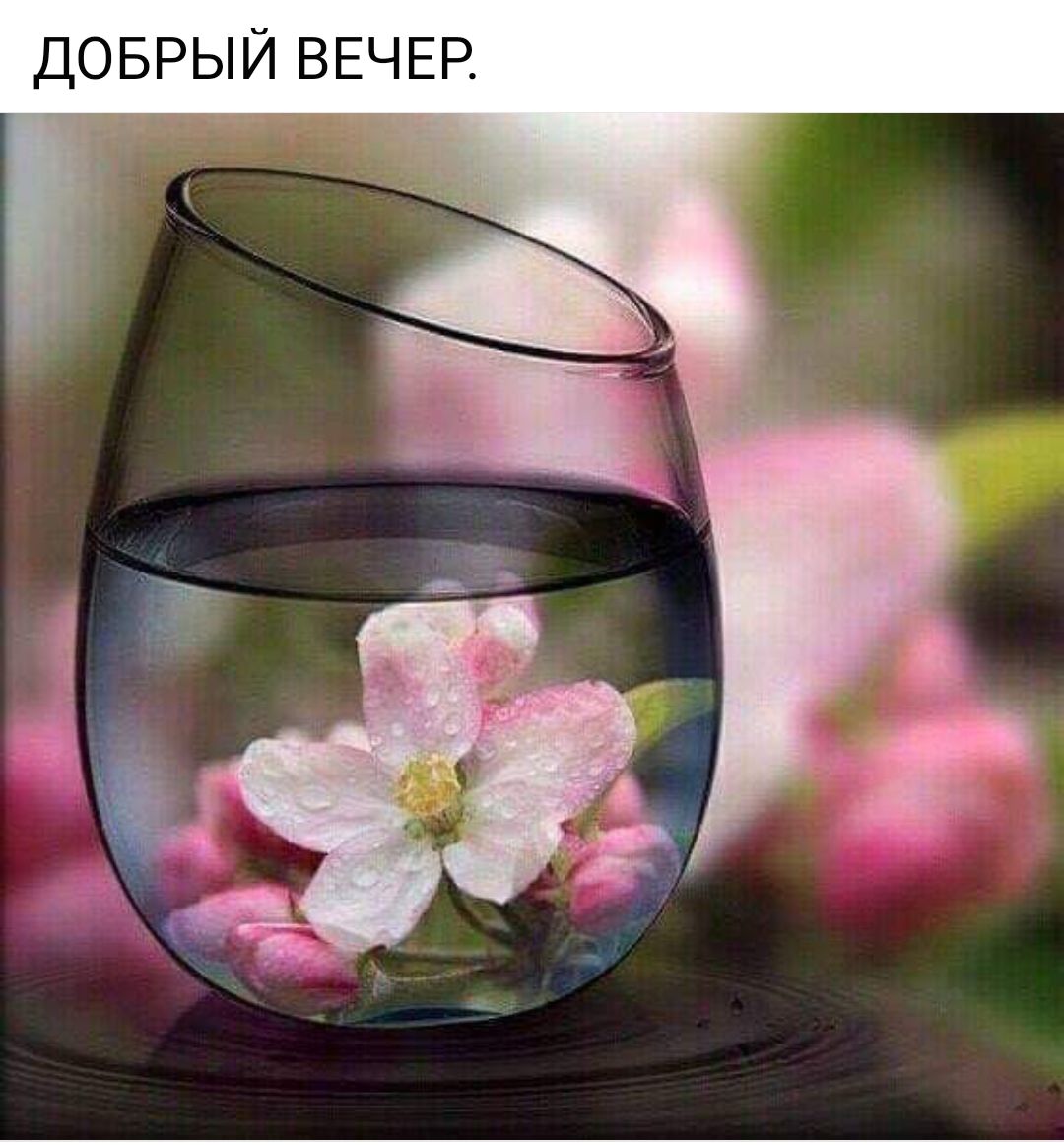 доврый ВЕЧЕР