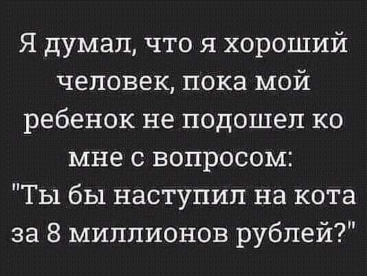 Я думал что я хороший человек пока мой ребенок не подошел ко мне с вопросом Ты бы наступил на кота за 8 миллионов рублей