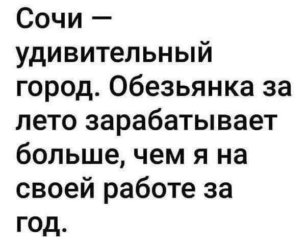 Сочи удивительный город Обезьянка за лето зарабатывает больше чем я на своей работе за год