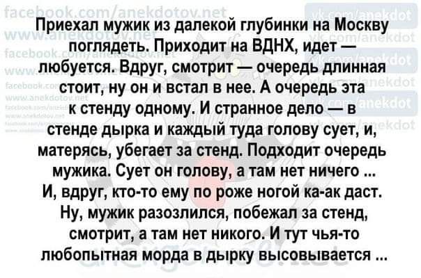 Приехал мужик из далекой глубиики на Москву поглядеть Приходит иа вднх идет любуется Вдруг смотрит очередь длииная стоит ну он и встал в нее А очередь это стенду одному И странное депо в стенде дырки и каждый туда голову сует и матеряоь убегает за стенд Подходит очередь мужика Сует он голову а там нет ничего И вдруг кто то ему по роже ногой ка ак даст Ну мужик разозлился побежал за стенд смотрит в